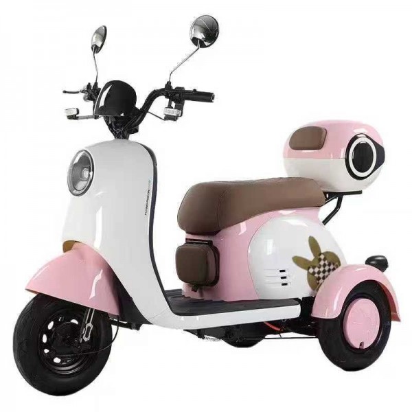 Small Electric Tricycle for Women Elderly 3 Wheel Scooter Child Pickup Family Mobilityimg-2