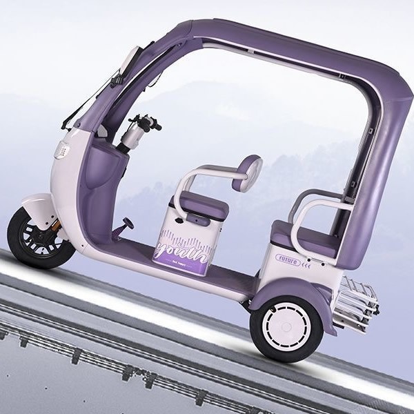 Canopy Electric Tricycle 2 Row Passenger Cargo 3 Wheel Scooter for Family Commute & Child Pickupimg-2