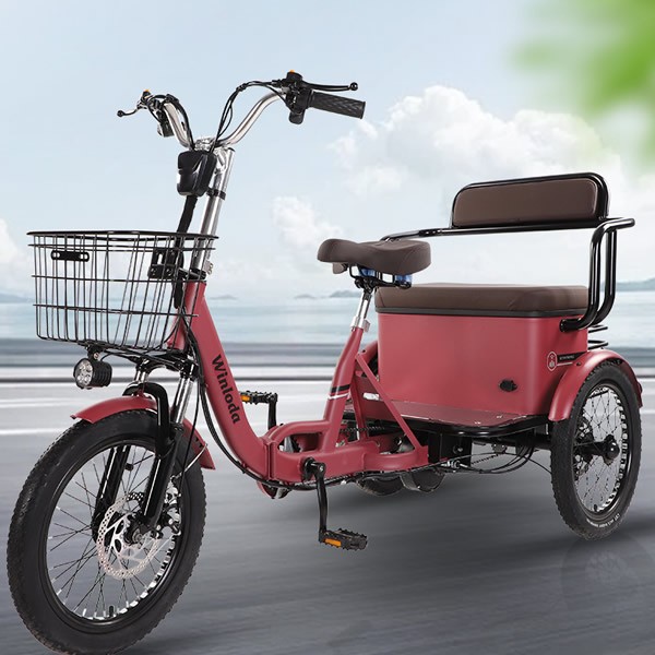 650W Electric Assist Tricycle 3 Wheel E-Bike for Family Commute Child Pickup & Senior Useimg-2