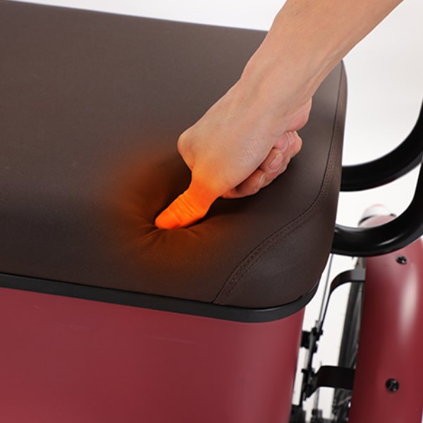 650W Electric Assist Tricycle 3 Wheel E-Bike for Family Commute Child Pickup & Senior Useimg-5