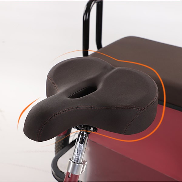 650W Electric Assist Tricycle 3 Wheel E-Bike for Family Commute Child Pickup & Senior Useimg-6