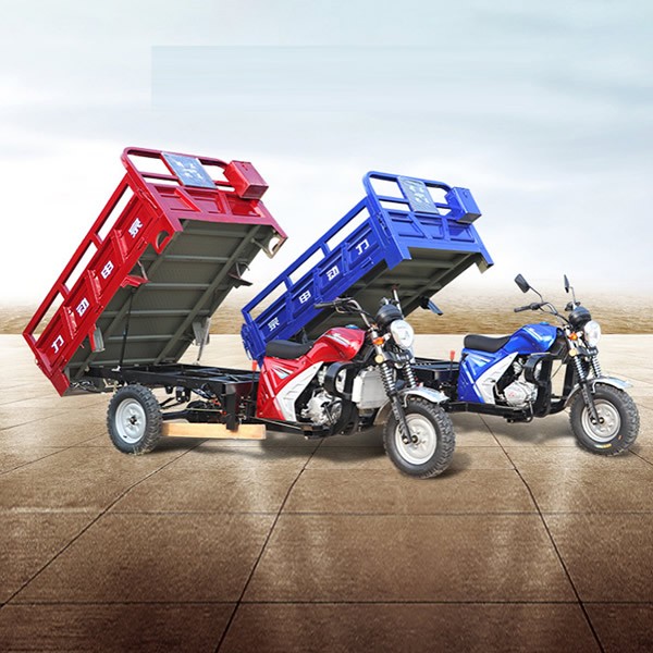 Heavy-Duty Gas Powered Dump Tricycle 3 Wheel Motorized Cargo Trike for Farm & Rural Haulingimg-3