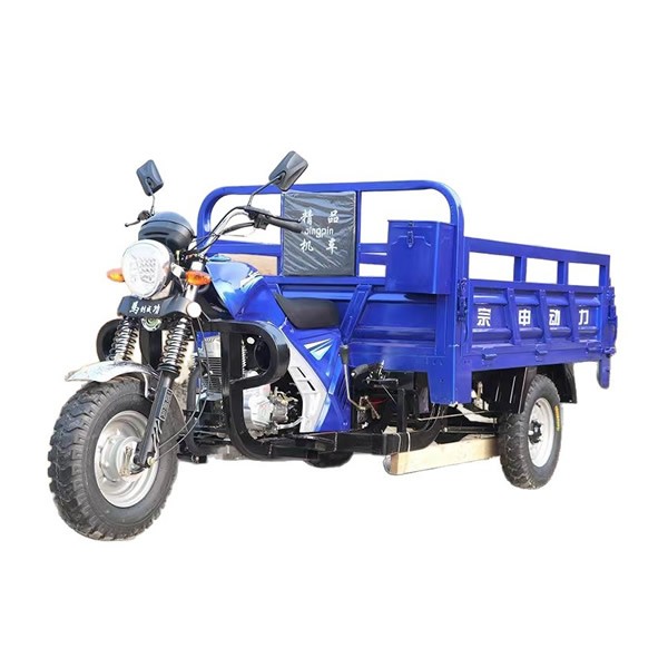 Heavy-Duty Gas Powered Dump Tricycle 3 Wheel Motorized Cargo Trike for Farm & Rural Haulingimg-2
