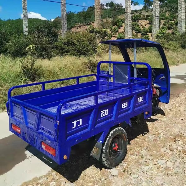 Heavy-Duty Gas Powered Dump Tricycle 3 Wheel Motorized Cargo Trike for Farm & Rural Haulingimg-4