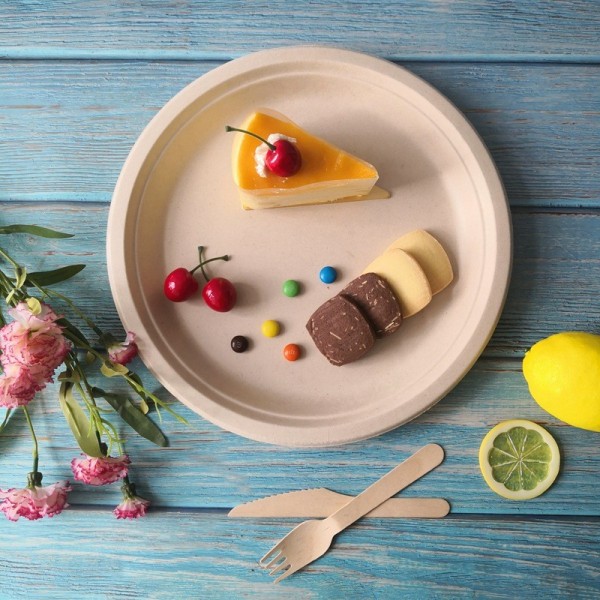 Heavy-Duty Biodegradable Sugarcane Plates 6/7/9/10/12 inch Bulk Pack for Food Serviceimg-5