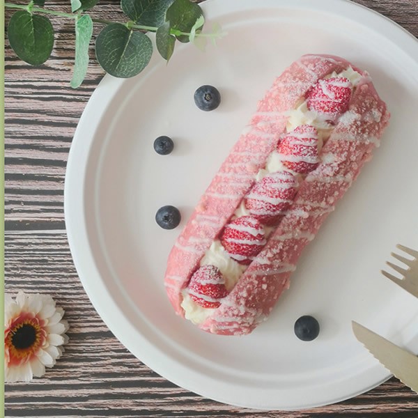 Heavy-Duty Biodegradable Sugarcane Plates 6/7/9/10/12 inch Bulk Pack for Food Serviceimg-6