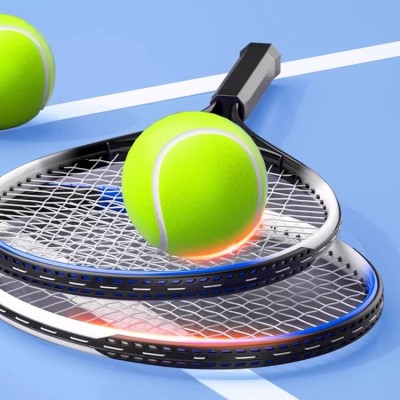 Telescopic Stainless Steel Tennis Ball Picker Roller Type Adjustable Height Ball Retriever for Tenni