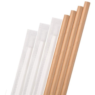 PLA Sugarcane Bagasse Biodegradable Straws, Individually Wrapped Disposable Eco Straws