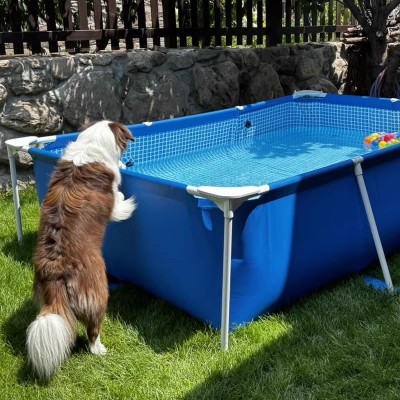 INTEX Frame Pool Above Ground Swimming Pool for Backyard Kids & Adults
