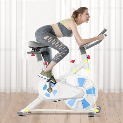 Magnetic Resistance Exercise Bike Silent Indoor Stationary Bike for Home Gym