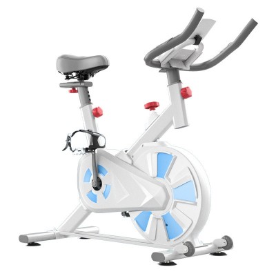 Magnetic Resistance Exercise Bike Silent Indoor Stationary Bike for Home Gym