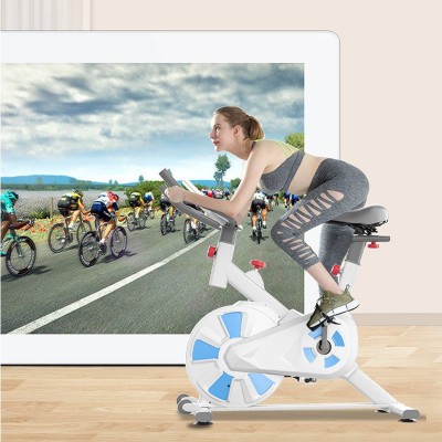 Magnetic Resistance Exercise Bike Silent Indoor Stationary Bike for Home Gym
