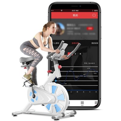 Magnetic Resistance Exercise Bike Silent Indoor Stationary Bike for Home Gym